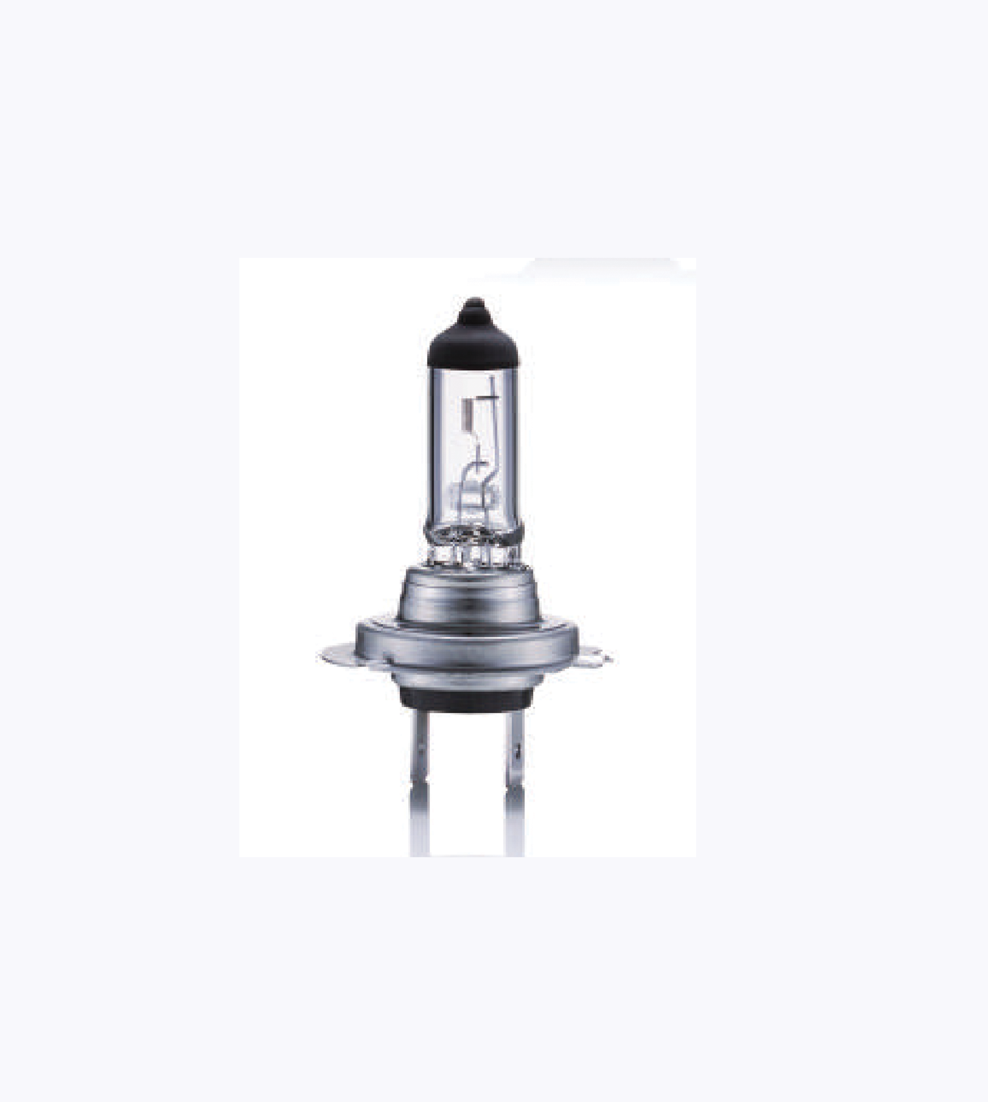 BIOLIGHT Automotive Lighting H7 Headlight Bulb 24V (100 W) CLEAR