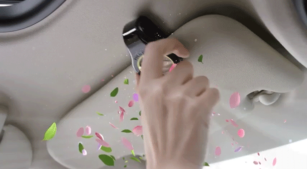 Sun Visor Clip Refillable Pack - Aqua - CARSCAREMALL